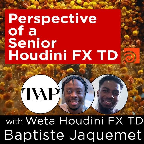 Perspective of a Senior Houdini FX TD, with Baptiste Jaquemet | TVAP EP30